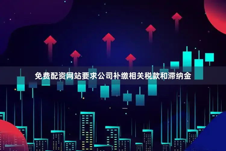 免费配资网站要求公司补缴相关税款和滞纳金