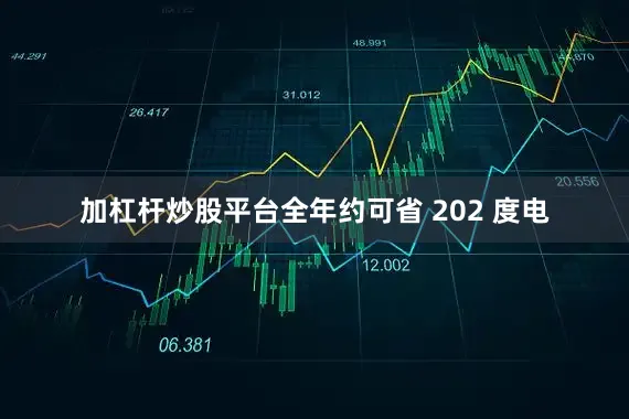 加杠杆炒股平台全年约可省 202 度电